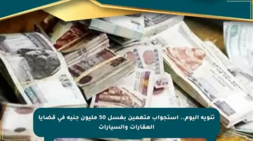 تنويه اليوم.. استجواب متهمين بغسل 50 مليون جنيه في قضايا العقارات والسيارات